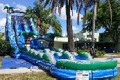 Dual Lane Tropical Water Slide