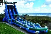 Dual Lane Tropical Water Slide