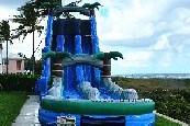 Dual Lane Tropical Water Slide