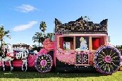 Cinderella Horse Carriage Jumping Castle Combo