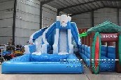 Polar bear series Dual Lane Wet Slide with Slip N Slide