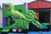 Dinosaur Bouncer Water Slide Combo