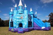 inflatable Frozen Combo