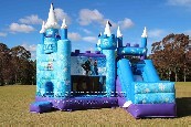 inflatable Frozen Combo