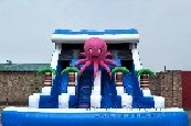Octopus Water Slide
