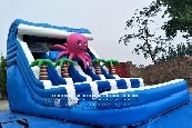 Octopus Water Slide