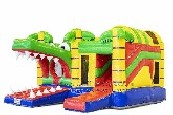 Crocodile Castle