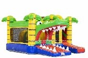 Crocodile Castle