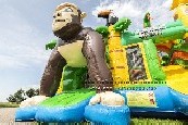 Safari Bouncy Castle