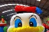 Duck theme bouncer playzone