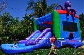 Octopus Slide Combo