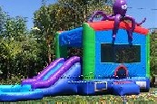 Octopus Slide Combo