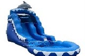 Dolphin Water Slide