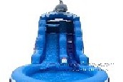 Dolphin Water Slide