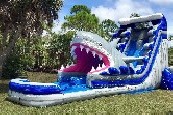 Shark Water Slide