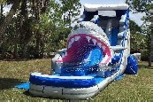 Shark Water Slide
