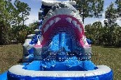 Shark Water Slide
