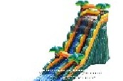 Cali Palms Water Slide