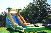Tropical Water Slide