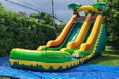 Tropical Water Slide