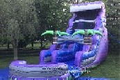 Purple Palm tree Water Slide Afs212