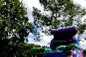Purple Palm tree Water Slide Afs212