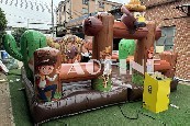 Ride Rodeo Bull Afm08