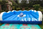 Surf Simulator Afm04