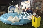 Unicorn Ride Afm03