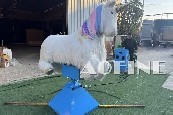 Unicorn Ride Afm03