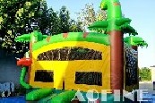 Dinosaur Bouncer Afc05
