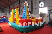 Climbing Wall Afp11