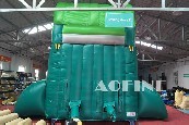 Green Palm Water Slide Afs71