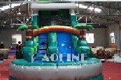 Green Palm Water Slide Afs71