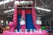 Dolphin Water Slide Afs73