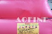 Dolphin Water Slide Afs73