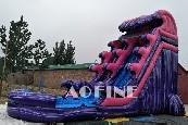 Purple Wave Water Slide Afs74