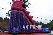Purple Wave Water Slide Afs74