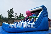 Octopus Water Slide Afs75