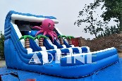 Octopus Water Slide Afs75