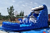 Dolphin Water Slide Afs77