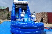 Dolphin Water Slide Afs77