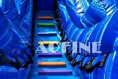 Dolphin Water Slide Afs77