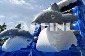 Dolphin Water Slide Afs77