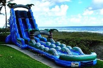 Dual Lane Tropical Water Slide