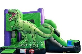 Dinosaur Bouncer Water Slide Combo
