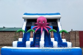 Octopus Water Slide