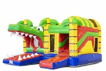 Crocodile Castle
