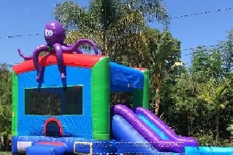 Octopus Slide Combo