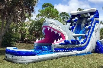 Shark Water Slide